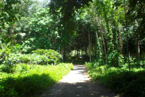 Земельный участок в Паклоке, Таиланд 2812м2 № 140925 - фото 6