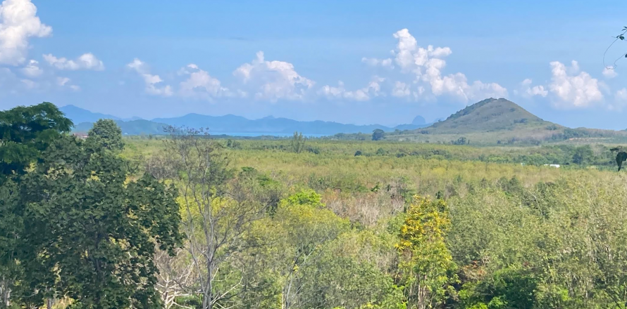Земельный участок в Паклоке, Таиланд 2812м2 № 140925