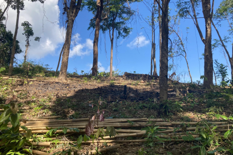 Земельный участок в Паклоке, Таиланд 2812м2 № 140925 - фото 5