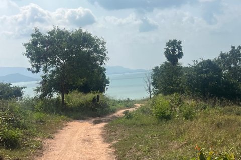 Land in Ko Samui, Thailand 22400 sq.m. № 149475 - photo 4