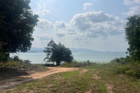 Land in Ko Samui, Thailand 22400 sq.m. № 149475 - photo 14