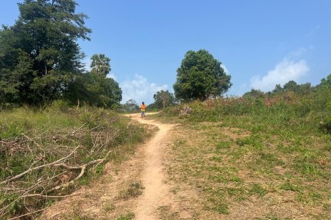 Land in Ko Samui, Thailand 22400 sq.m. № 149475 - photo 6