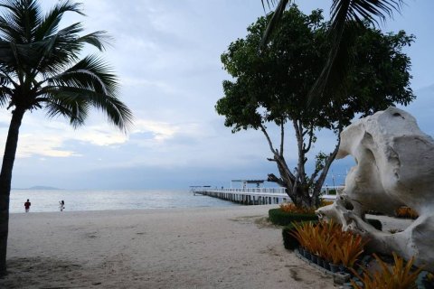 Condo à Pattaya, Thaïlande, 3 chambres  № 167193 - photo 22
