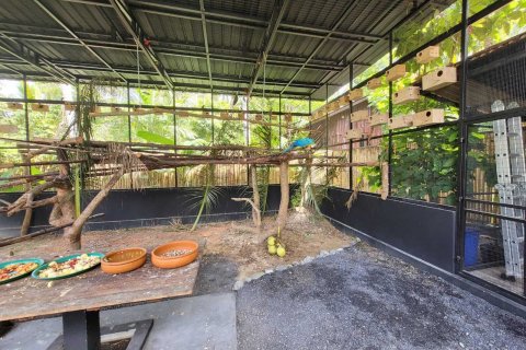 Hotel in Ko Samui, Thailand № 139835 - photo 2