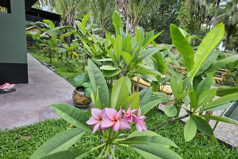 Hotel in Ko Samui, Thailand № 139835 - photo 12