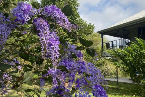 House in Nakhon Nayok, Thailand 3 bedrooms № 163159 - photo 4