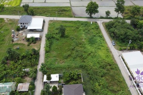 Земельный участок в Чиангмае, Таиланд  № 162619 - фото 9