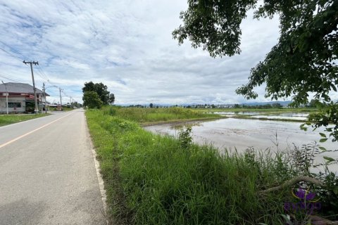 Земельный участок в Чиангмае, Таиланд  № 162619 - фото 13