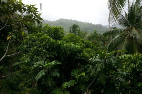 Land in Surat Thani, Thailand 320 sq.m. № 173233 - photo 4