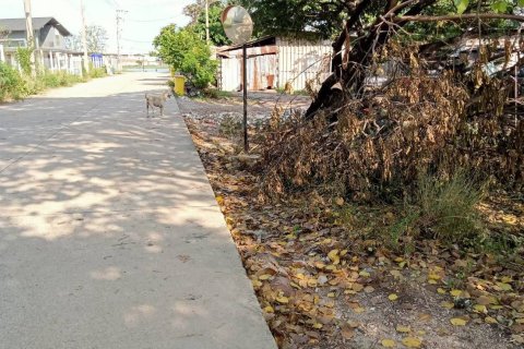 Land in Samut Sakhon, Thailand 8000 sq.m. № 163217 - photo 4