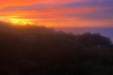 Studio dans le Condo à Kathu, Thaïlande  № 136790 - photo 4