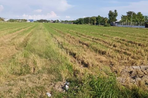 Terrain à Ban Lam Luk Ka, Thaïlande 31988 m2 № 171755 - photo 10