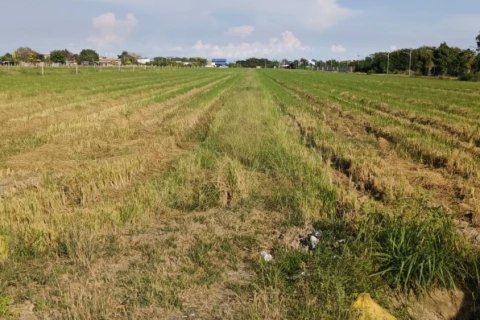Terrain à Ban Lam Luk Ka, Thaïlande 31988 m2 № 171755 - photo 6