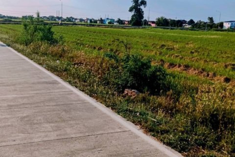 Terrain à Ban Lam Luk Ka, Thaïlande 31988 m2 № 171755 - photo 4