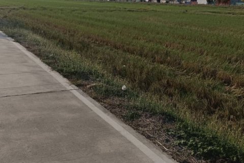 Terrain à Ban Lam Luk Ka, Thaïlande 31988 m2 № 171755 - photo 5