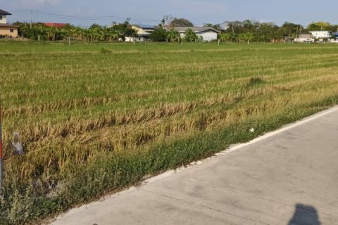 Terrain à Ban Lam Luk Ka, Thaïlande 31988 m2 № 171755 - photo 8