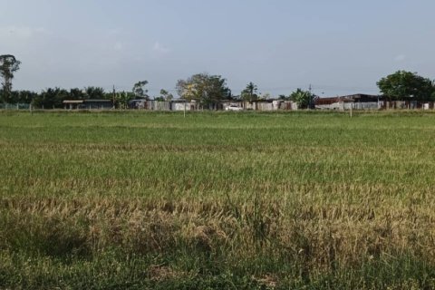Terrain à Ban Lam Luk Ka, Thaïlande 31988 m2 № 171755 - photo 7