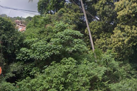 Land in Ko Samui, Thailand 1600 sq.m. № 139438 - photo 3