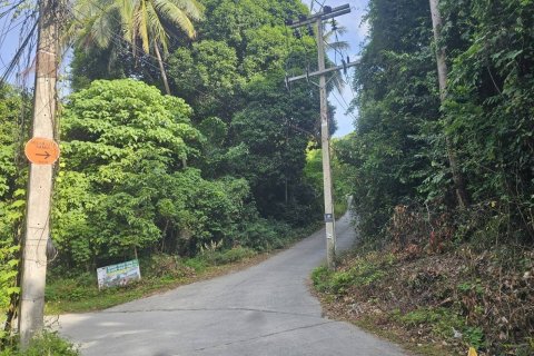 Land in Ko Samui, Thailand 1600 sq.m. № 139438 - photo 5