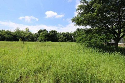 Land in Chiang Mai, Thailand № 122030 - photo 4