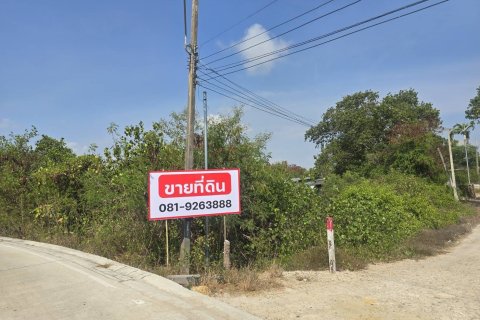 Land in Rayong, Thailand 9600 sq.m. № 173250