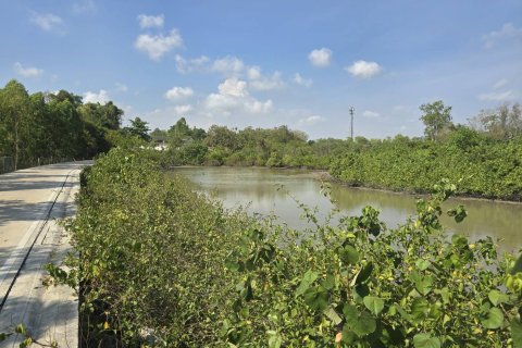 Land in Rayong, Thailand 9600 sq.m. № 173250 - photo 3
