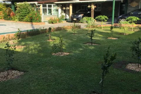 House in Sena, Thailand 3 bedrooms № 159402 - photo 3