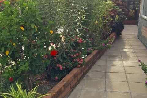 House in Sena, Thailand 3 bedrooms № 159402 - photo 19