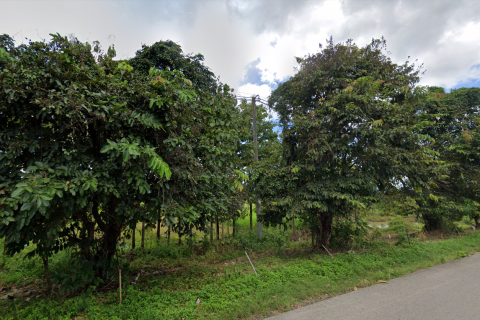 Land in Phayao, Thailand 53584 sq.m. № 171121 - photo 4