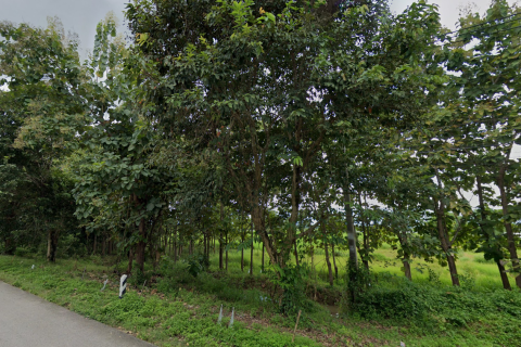 Land in Phayao, Thailand 53584 sq.m. № 171121 - photo 6