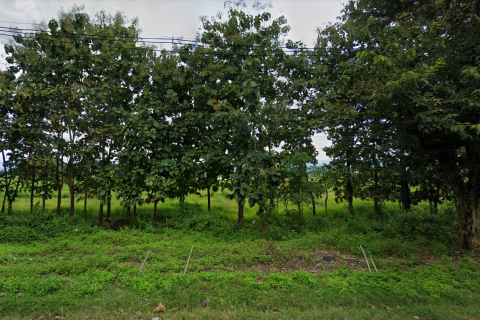 Land in Phayao, Thailand 53584 sq.m. № 171121 - photo 3