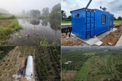 Land in Pa Sang, Thailand 8000 sq.m. № 148892 - photo 4