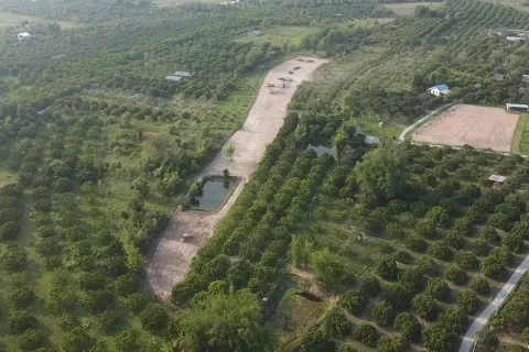 Land in Pa Sang, Thailand 8000 sq.m. № 148892 - photo 3