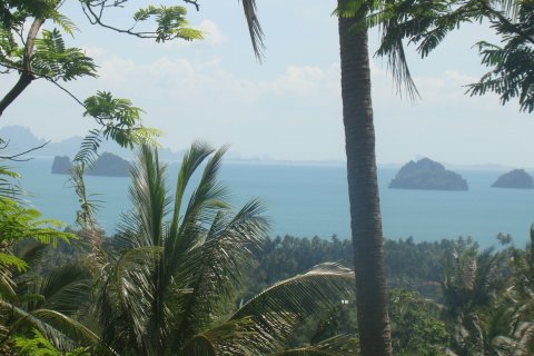 Земельный участок в Самуи, Таиланд 1044м2  № 154177 - фото 5