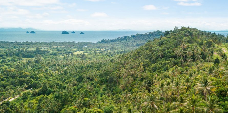 Земельный участок в Самуи, Таиланд 1044м2  № 154177