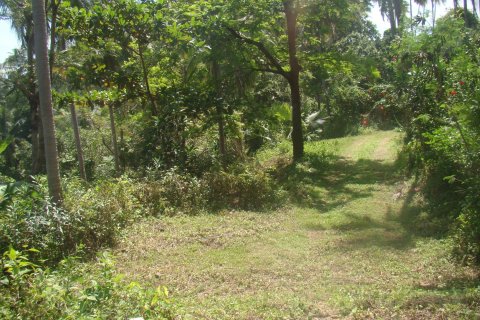 Земельный участок в Самуи, Таиланд 1044м2  № 154177 - фото 4