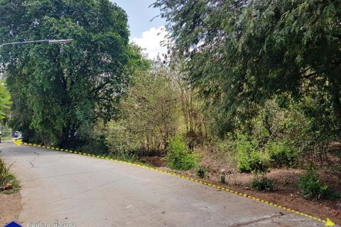 Terrain à Nakhon Luang, Thaïlande 4068 m2 № 164614 - photo 4