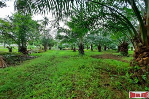 Land in Krabi, Thailand 3200 sq.m. № 194034