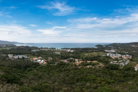 Земельный участок в Пхукете, Таиланд 40000м2  № 141124 - фото 10