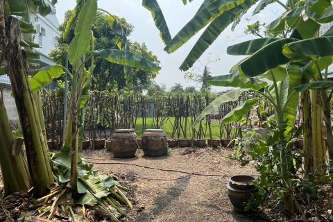 Duplex in Bang Kruai, Thailand 3 bedrooms № 141757 - photo 7