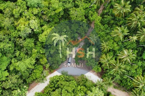 Land in Ko Samui, Thailand № 180234 - photo 3