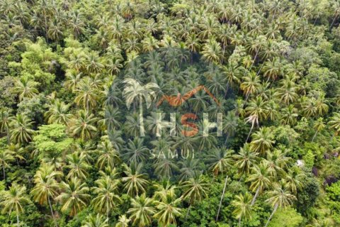 Land in Ko Samui, Thailand № 180234 - photo 4