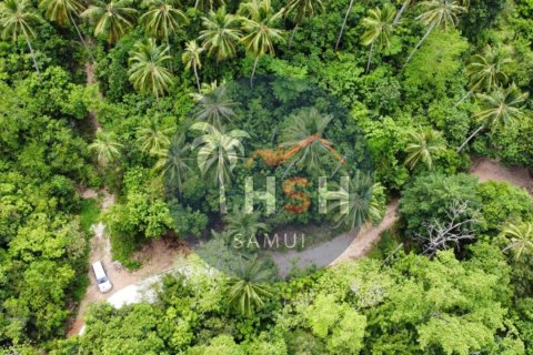 Land in Ko Samui, Thailand № 180234 - photo 5