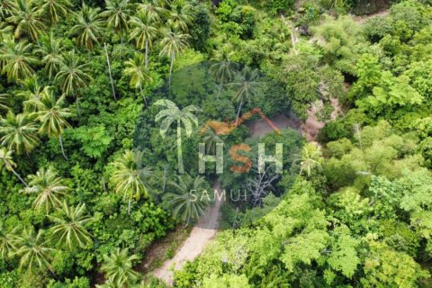 Land in Ko Samui, Thailand № 180234 - photo 9