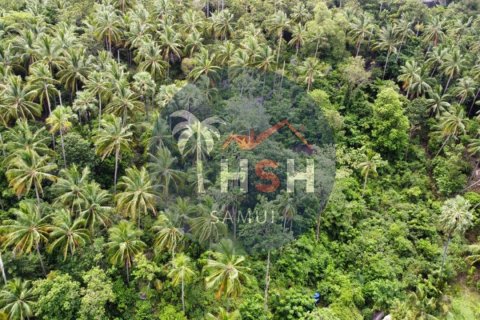 Land in Ko Samui, Thailand № 180234 - photo 7