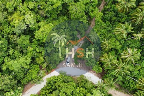 Land in Ko Samui, Thailand № 180234 - photo 8