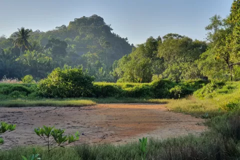 Land in Ao Luek, Thailand 9600 sq.m. № 139217 - photo 13