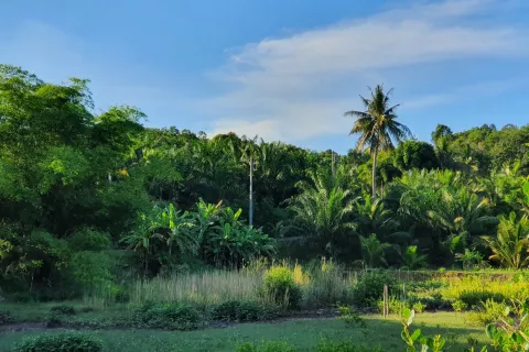 Land in Ao Luek, Thailand 9600 sq.m. № 139217 - photo 3