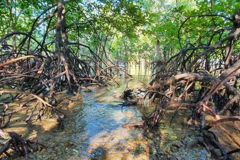 Land in Ao Luek, Thailand 9600 sq.m. № 139217 - photo 11