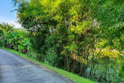 Land in Ao Luek, Thailand 9600 sq.m. № 139217 - photo 20